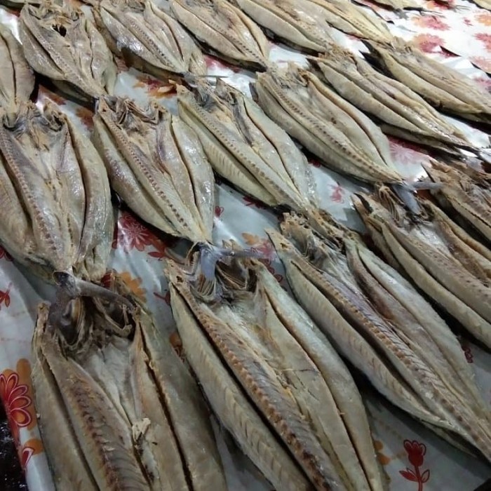 

\"\"\"\] Iwak karing telang atau tenggiri