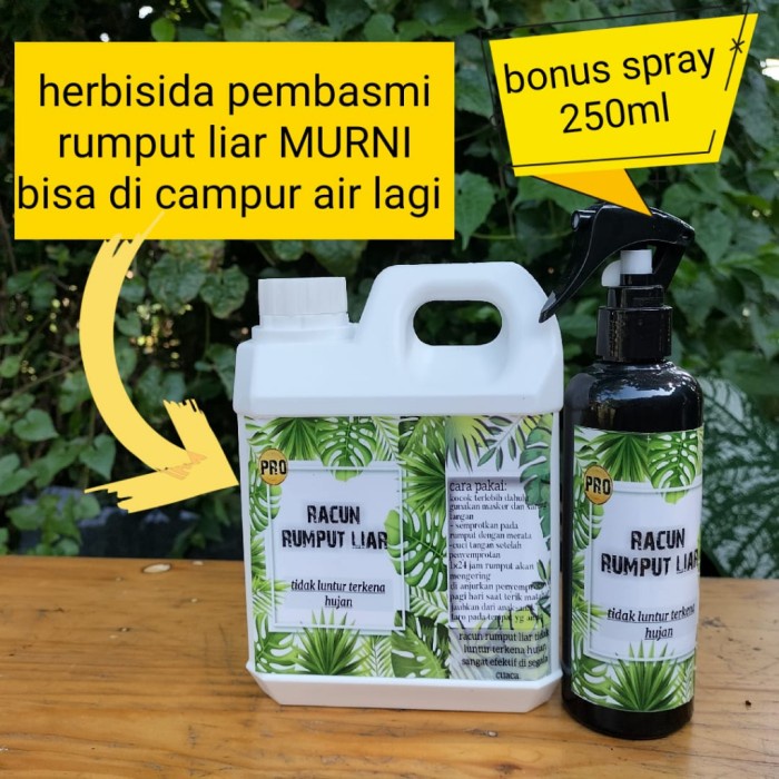 Herbisida Kontak Racun Obat Pembasmi dan Pembersih Tanaman Rumput liar