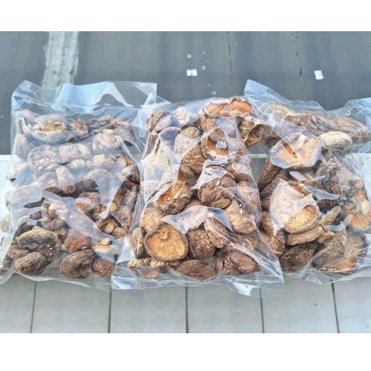 

Jamur Shiitake - Hiokou Mentah IKPS 100 gr ukran D 3-4-5-6-8 cm