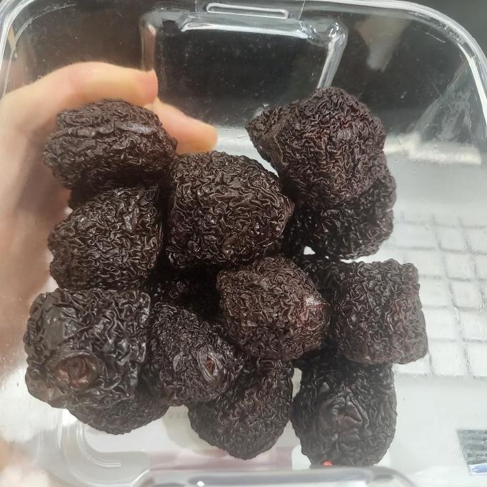 

RECOMEND Hao Zui Dao buah pulm kering Fu Rong Li gan 350g