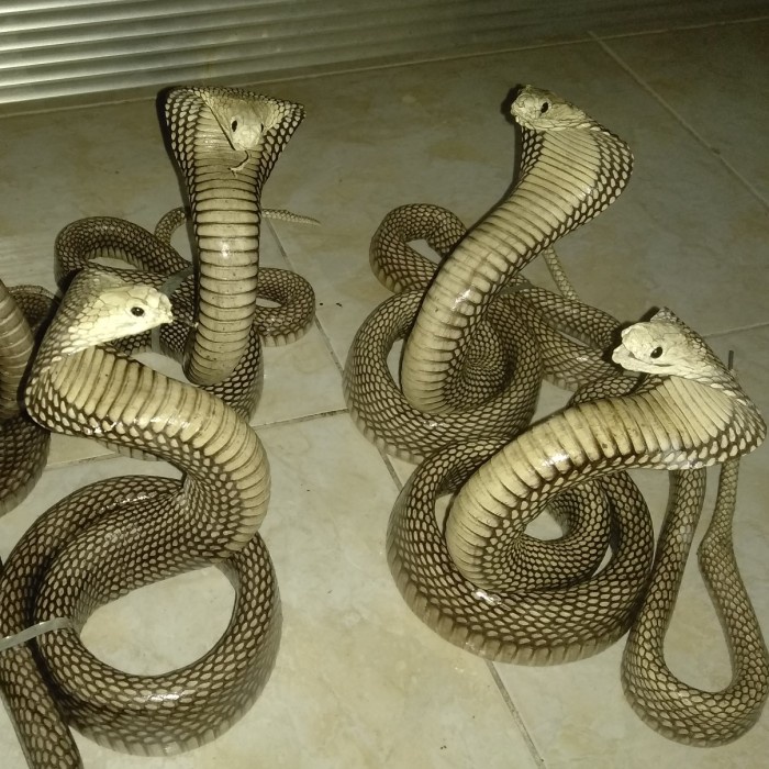 Promo Patung Ular Cobra Model 1 A