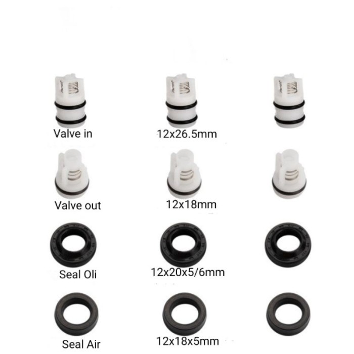 KIT SEAL VALVE SET JET CLEANER LAKONI LAGUNA 70 rus