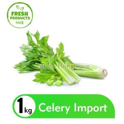 

Ready Seledri Import / Celery Stick 1kg