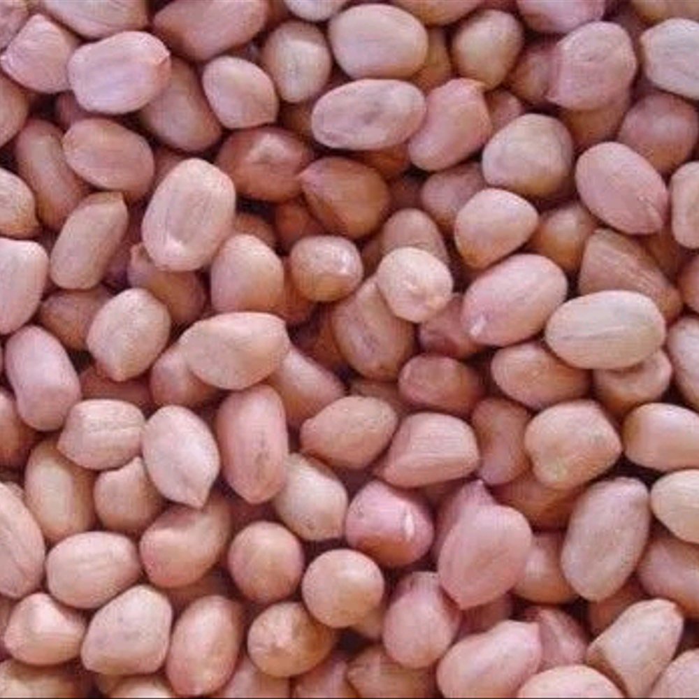 

KACANG TANAH MENTAH KUPAS 50 /100 GRAM