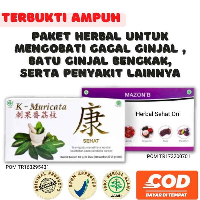 

Obat Herbal Khusus Gagal Ginjal Batu Ginjal Bengkak Mazon B K Muricata