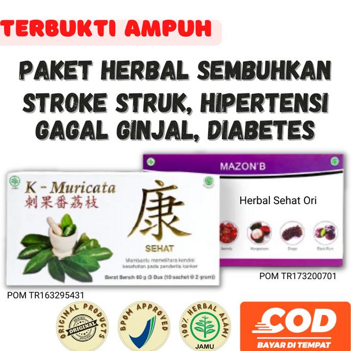 

Obat Herbal Terapi Stroke Struk Hipertensi Mazon B dan K Muricata