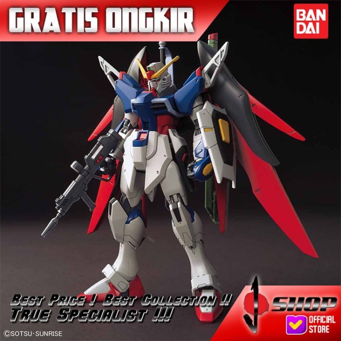 Hg / Hgce 1/144 Destiny Gundam