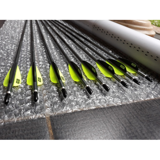 ✅Baru 6 Pcs Arrow Xx75 Platinum Plus Merk Easton Diskon