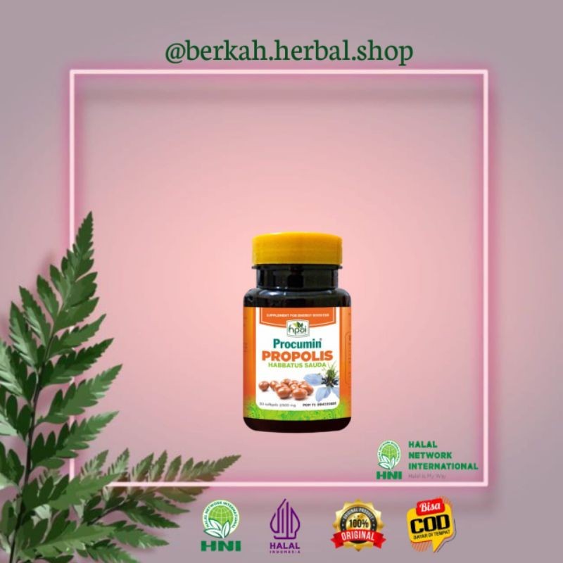 PROCUMIN PROPOLIS HNI HPAI