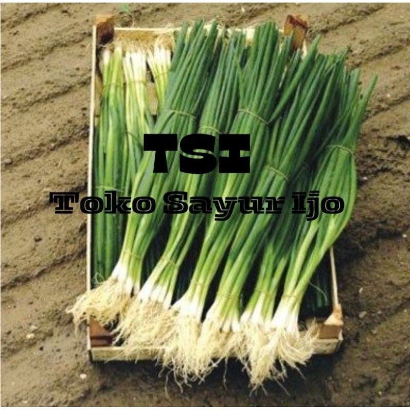 

Daun Bawang - Kirim Instan