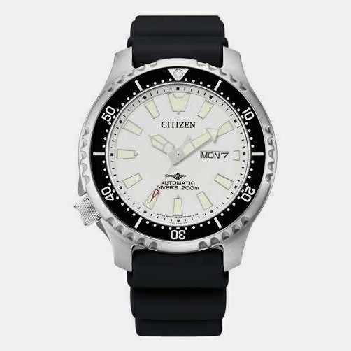 ✅Ori Citizen Promaster Diver Fugu Ny0118-11A Berkualitas