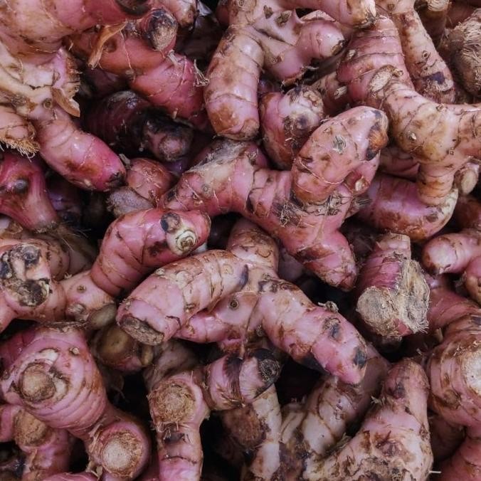 

Termurah jahe merah sortir rimpang & rempah kualitas baik 500gr