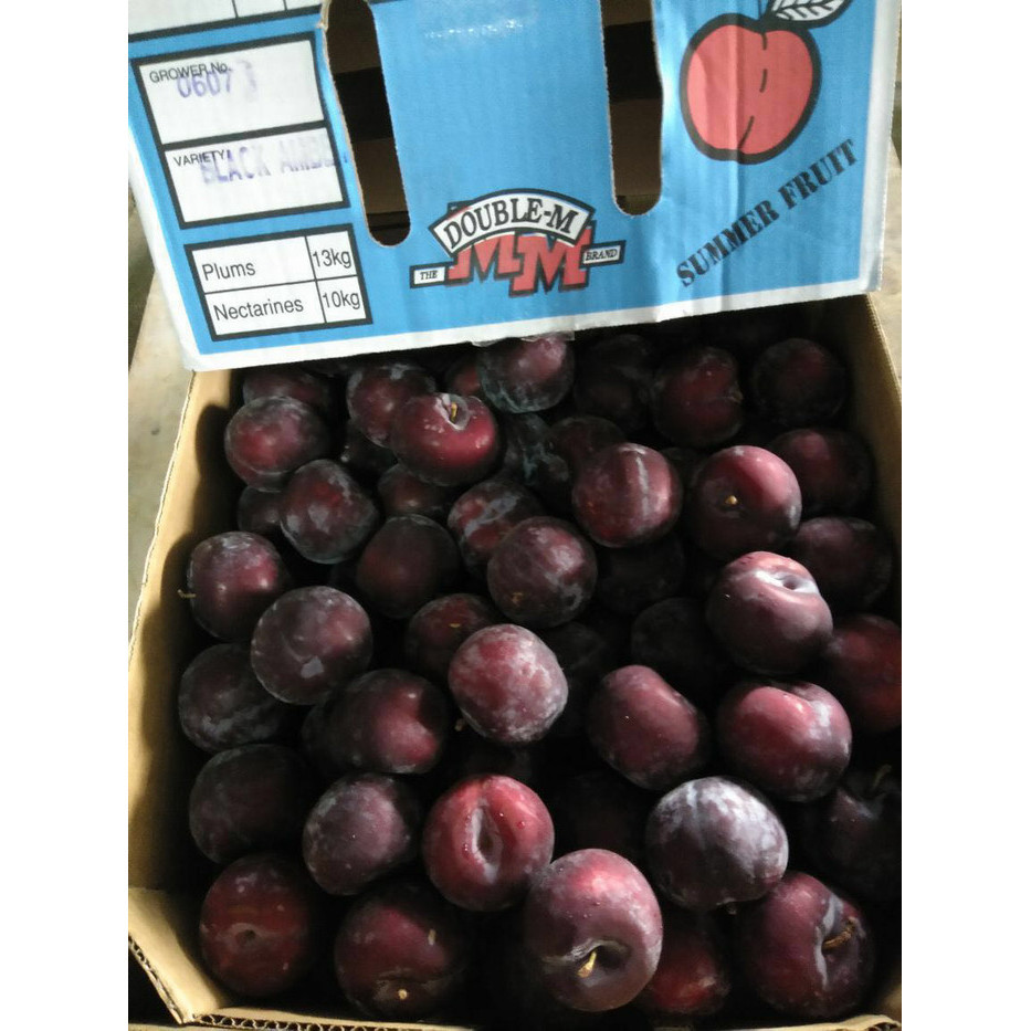 

Mazin - Buah Plum Australia 1 Kg ( Fresh Bukan Kering/Frozen)