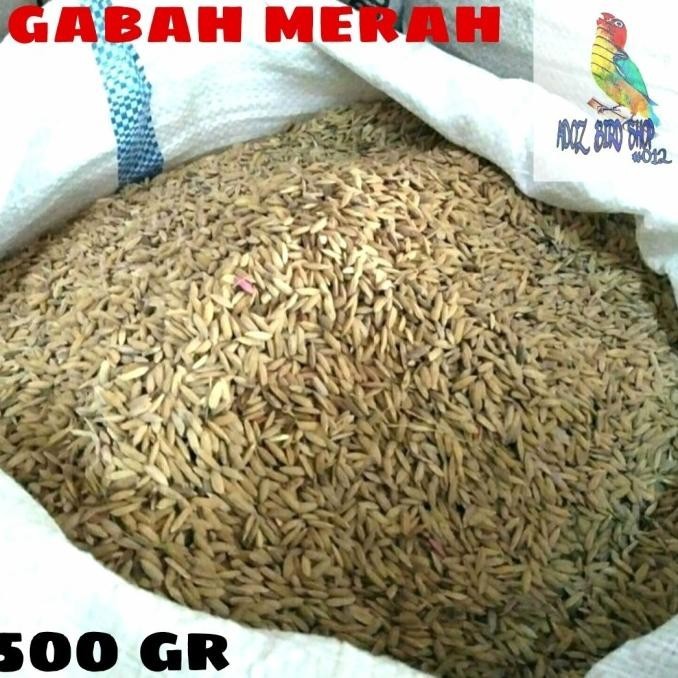 Gabah Merah/Gabah Beras Merah Pakan Ayam/Burung Dll