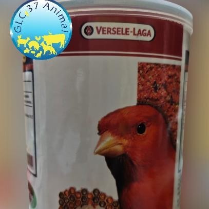 Pakan Makanan Burung Kenari Merah Gold Patee Red Versele Laga Import