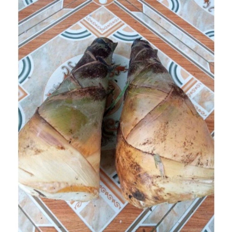 

Rebung/iwung bambu per 1kg