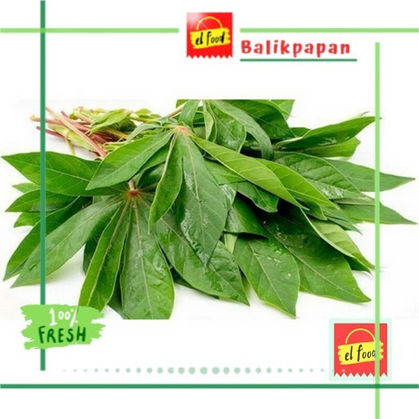 

DAUN SINGKONG SEGAR Per ikat ±750gr /ELFOOD)/Sayur/Sayuran