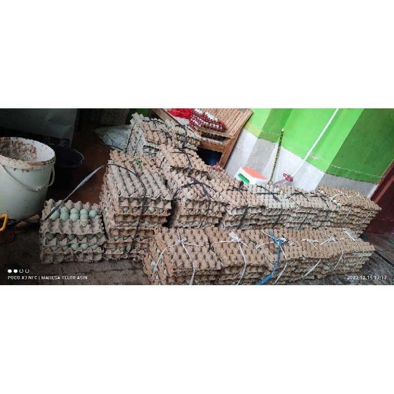 

TELOR BEBEK FRESH (minimal beli 10 Butir)
