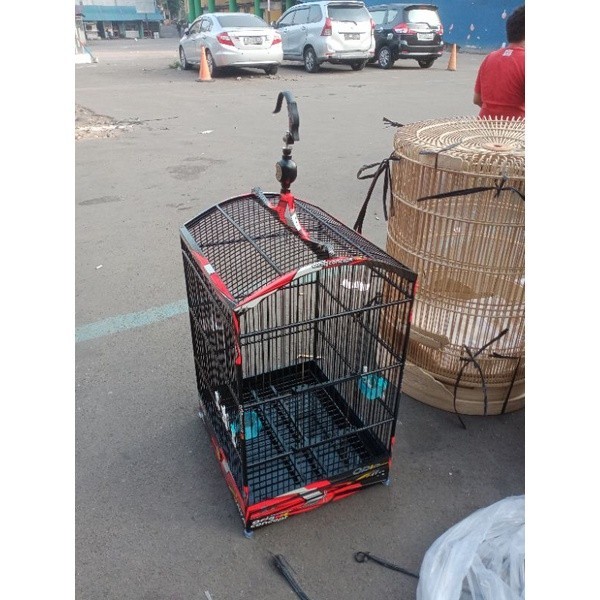 PROMO KANDANG SANGKAR KANDANG KOTAK ORIQ DECAL NO.2 UK 37x42