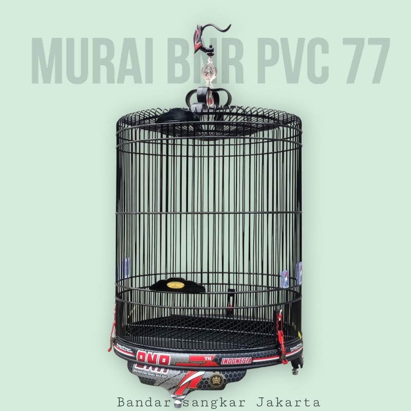 PROMO KANDANG SANGKAR KANDANG MURAI BNR 77