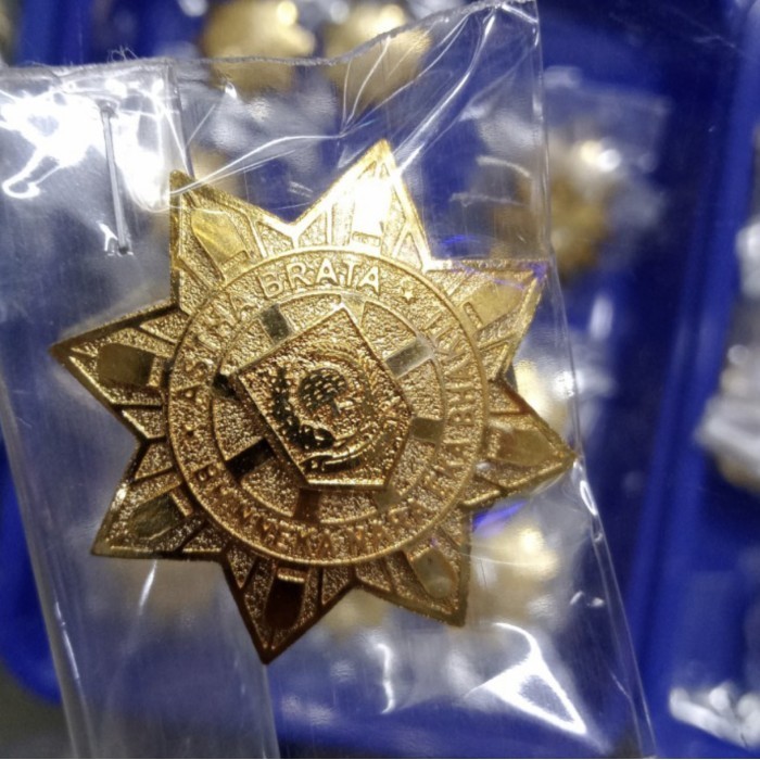 Ven Pin Ipdn/Pin Purna Praja Ipdn/Pin Praja Ipdn