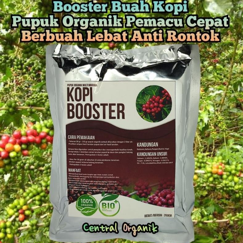 Terbaru Pupuk Pelebat Buah Kopi Pupuk Booster Buah Kopi Pupuk Organik Cepat Berbuah Lebat Kopi