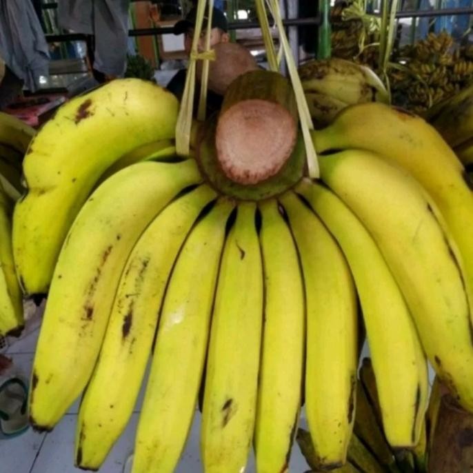 

PISANG AMBON 1 KG PEKANBARU