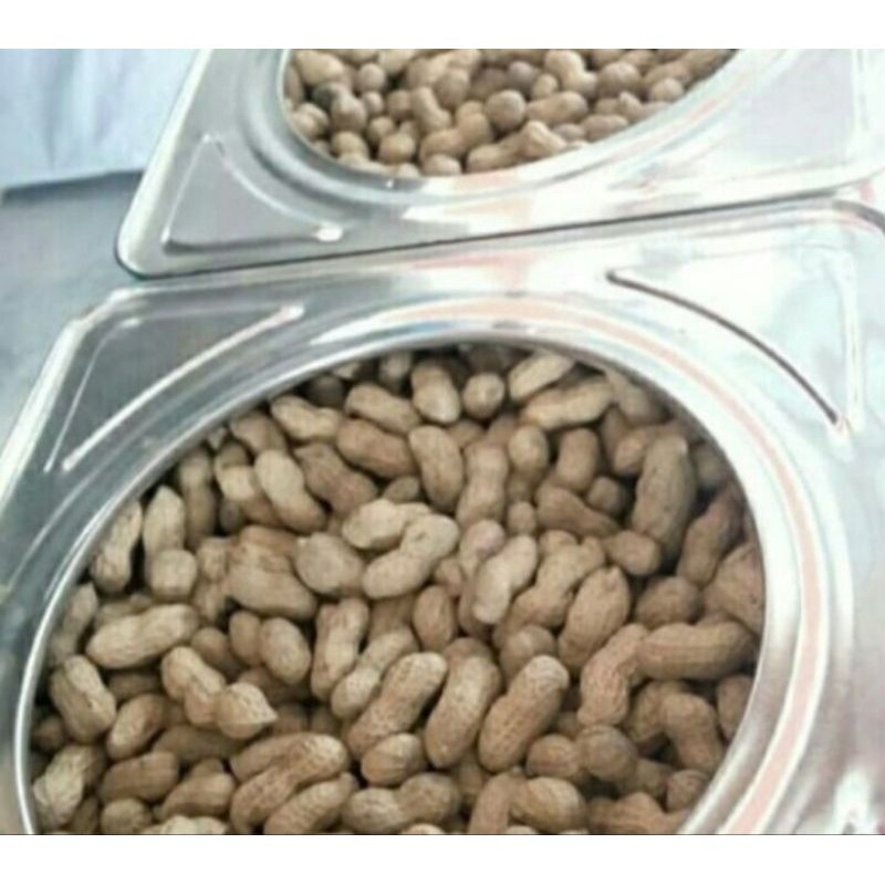 

PROMO KACANG SIHOBUK KEMASAN KALENG ± 4,5 kg