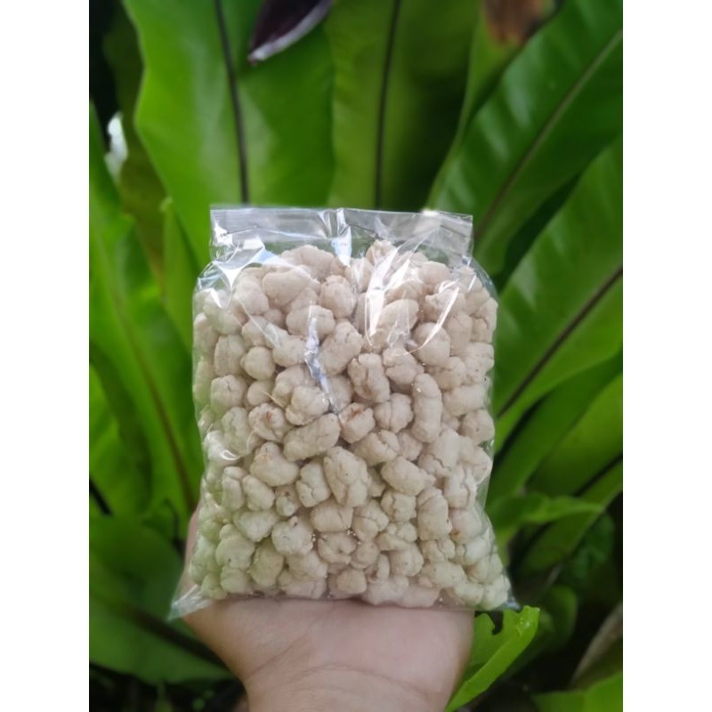 

Cikur Pilus Kencur GERAI CUANLOOK