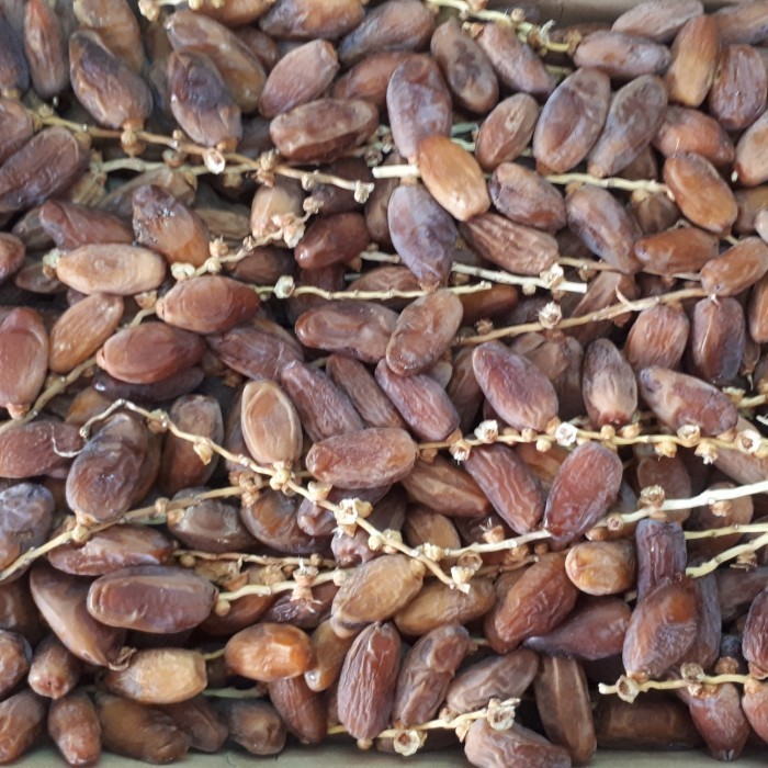 

Kurma - Kurma Tunisia Tangkai 1Kg