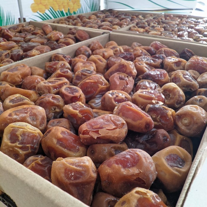 

Kurma - Kurma Sukari Nr 1Kg