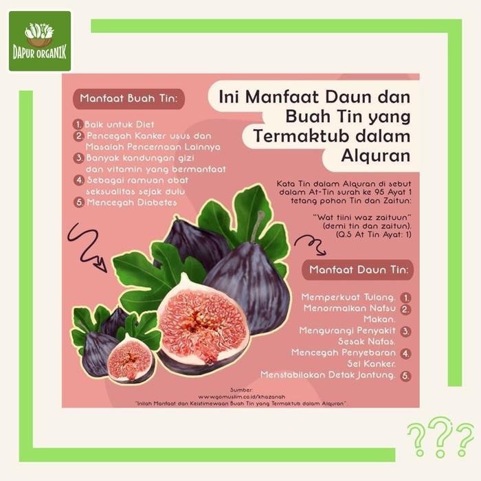 

TERBAIK! BUAH TIN (FIGS) BUAH ARA KERING HALAL MUI TANPA PENGAWET TANPA PEMANIS