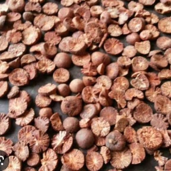 

TERBAIK! JUAL BUAH PINANG KERING 1 KG