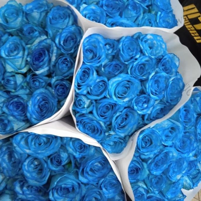 Terjangkau - Bunga Mawar Biru Bunga Potong 20 Tangkai Asli dan Segar ~