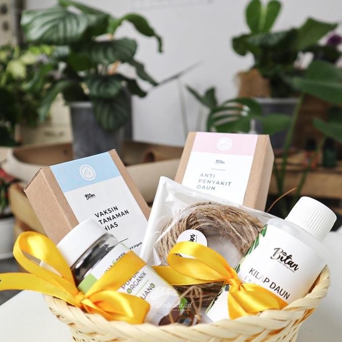 

Hampers Lebaran Hias Hampers Tanaman Sehat Gumush By Planteria