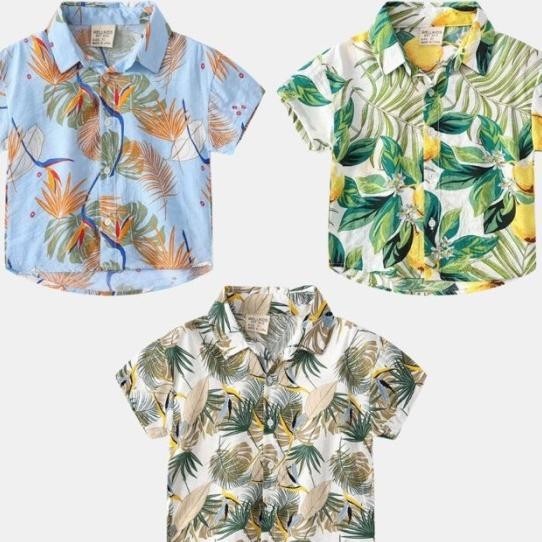 Hawai Shirt | Baju Pantai Anak | Kemeja Lengan Dek Anak Laki Laki