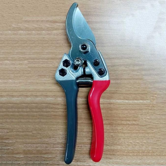 

Gunting Ranting Dahan Pohon Taman Ranting Garden Pruning 7 Inch Airaj | Opheliazulaikastore