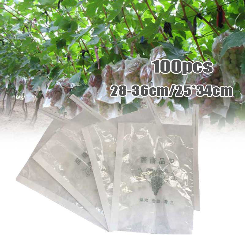 100Pcs Pembungkus Buah Brongsong Buah Fruit Bag Fruit Cover Transparan Waterproof Anggur,