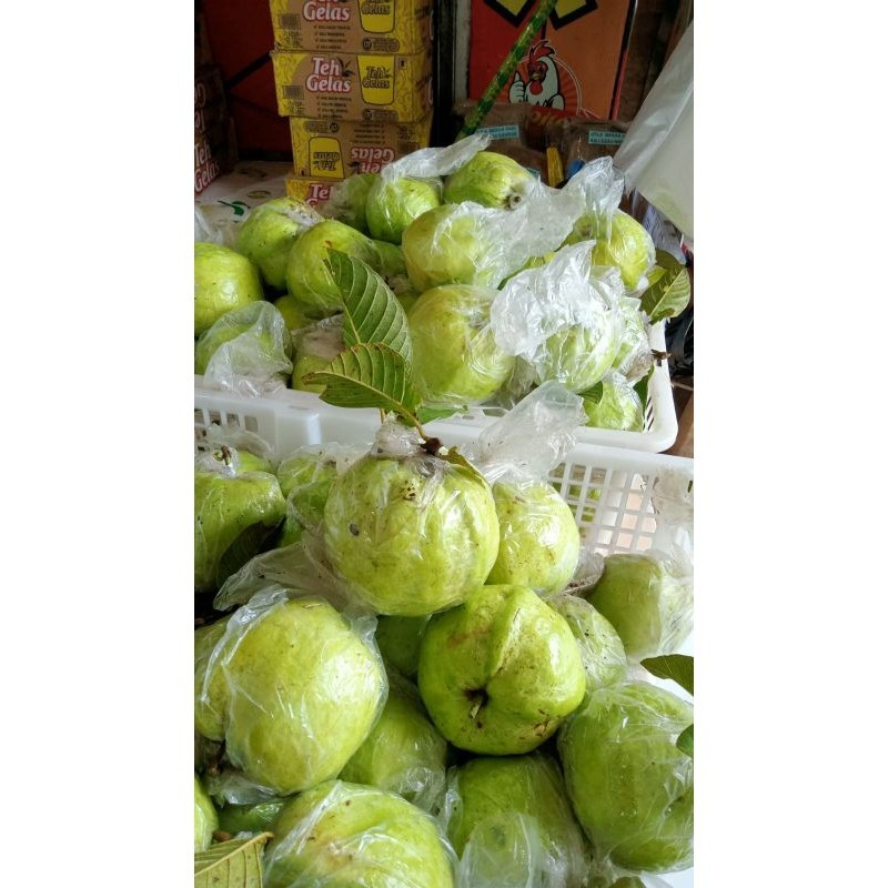 

Jambu Kristal BWI