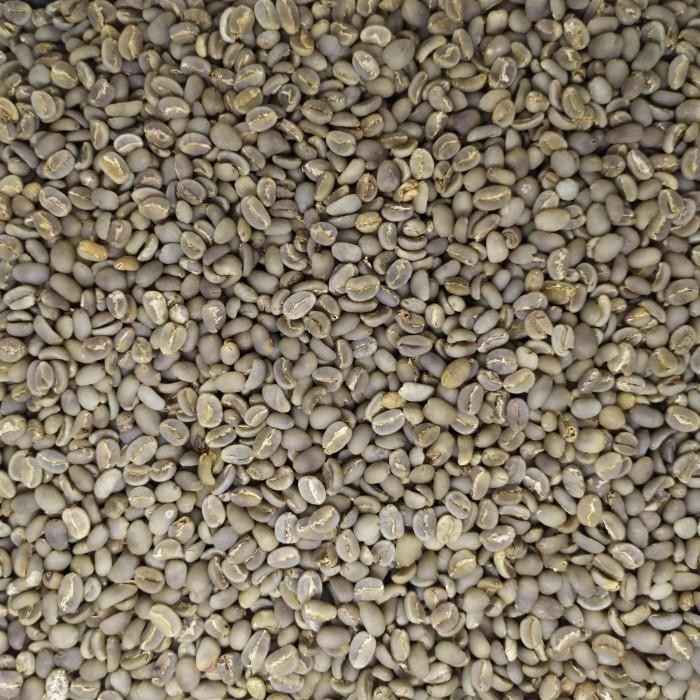 

GREEN BEAN KOPI MENTAH ARABIKA TORAJA KALOSI SEMI WASH GRADE 1 - 1KG Best Seller