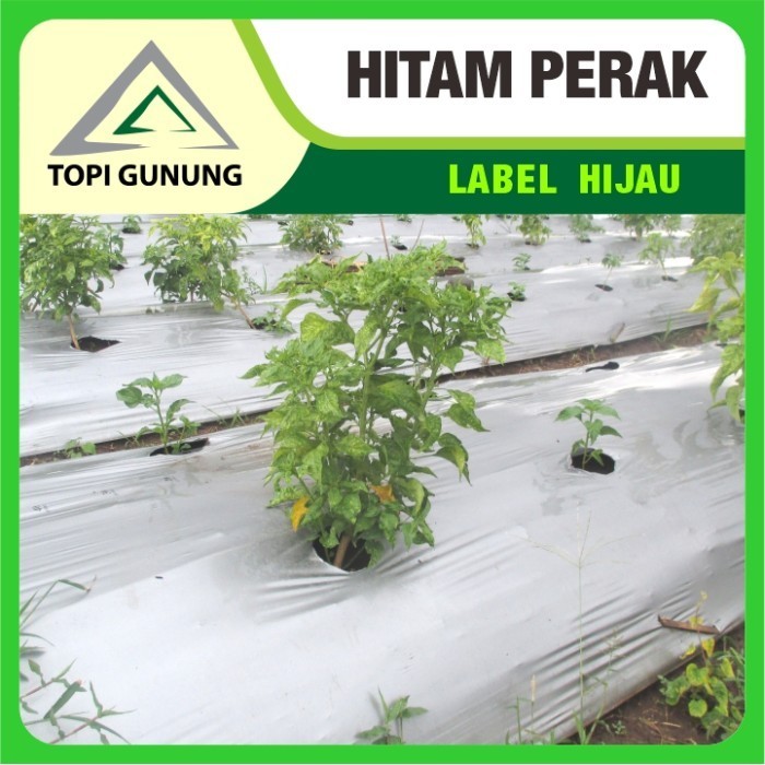 Mulsa Topi Gunung - Hitam Perak Besar - 17 kg - Label Hijau