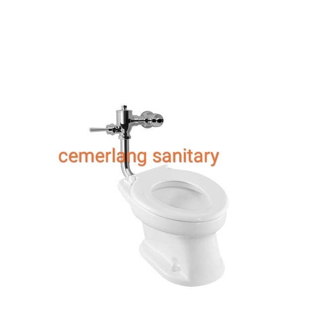 KLOSET DUDUK & JONGKOK CW 425J+ CE9(PUSH KRAN MODEL TOTO) PO IBU RIA