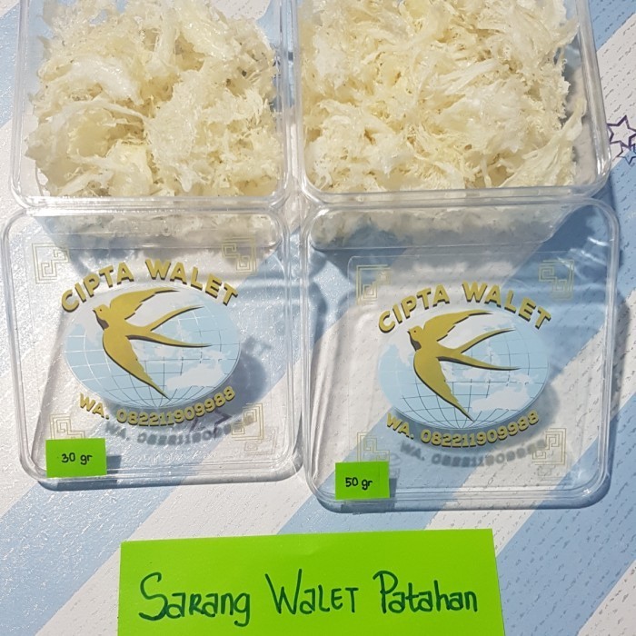 

Walet / Sarang Walet Patahan / Yanwo / / Cipta Walet