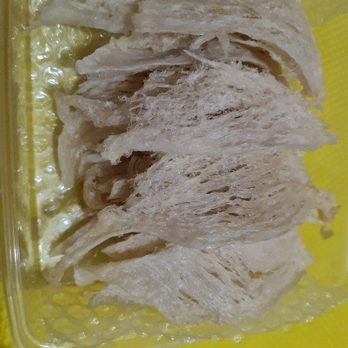 

Sarang Burung Walet Bersih Patahan Besar 50 Gram