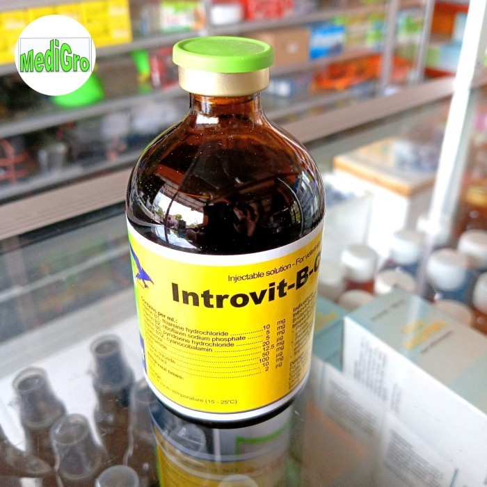 Introvit B Complex 100Ml Vitamin Injeksi Untuk Hewan