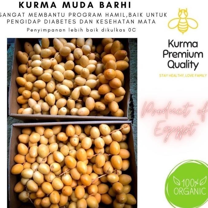 

1/2Kg Kurma Muda Barhi Paket Promil Program Hamil Manis Mengkel Fresh