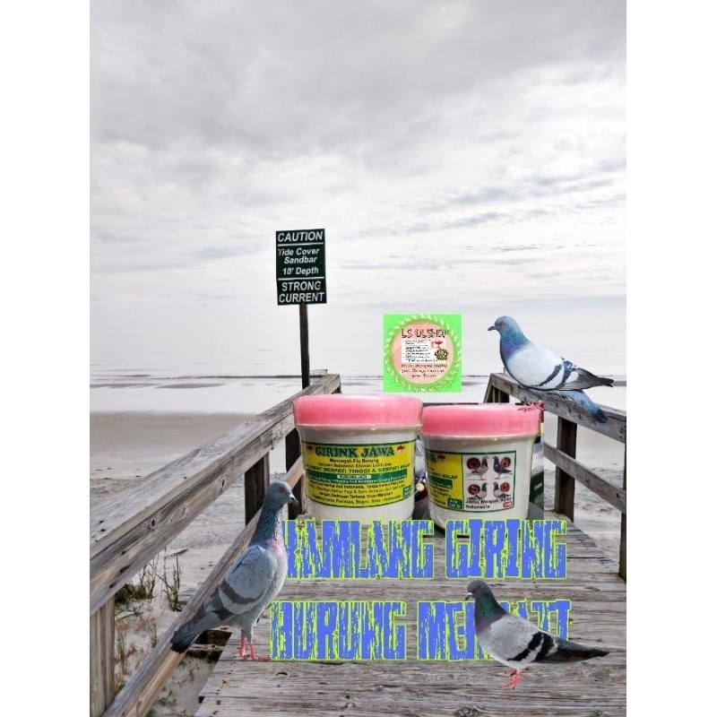 KAMLANG JAWA AYAM TARUNG JAMU STAMINA DAN TENAGA AYAM TARUNG