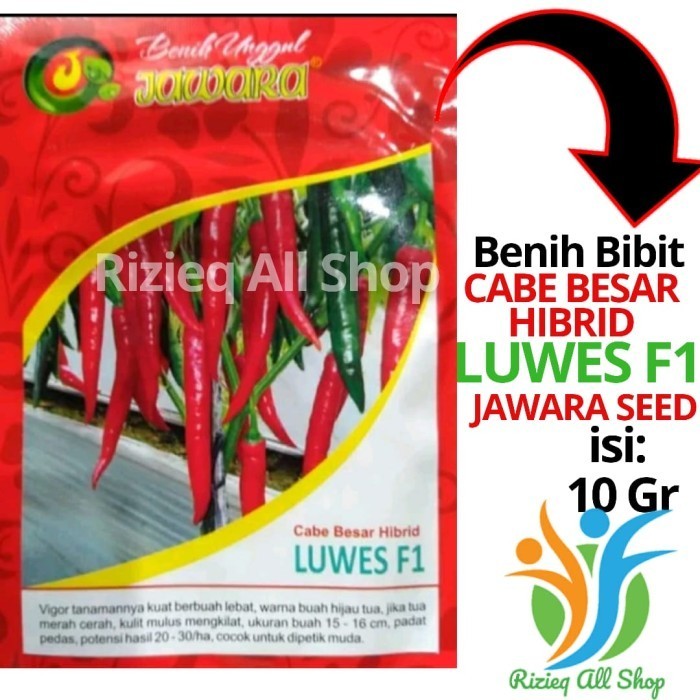 New Benih bibit Cabe Merah Besar Hibrida Luwes F1 10 gram dari JAWARA