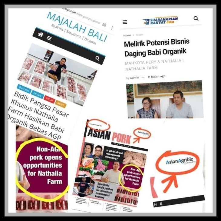 

DISKON PROMO DAGING BABI ORGANIK - SAMCAN CUBE POTONG DADU - NATHALIA FARM - READYY