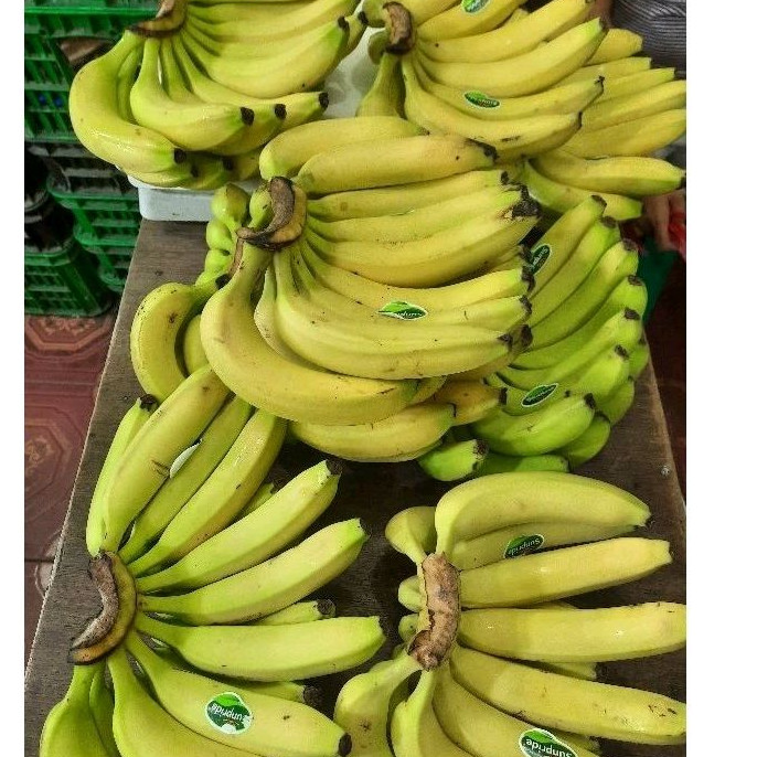 

Pisang Sunpride 1 sisir